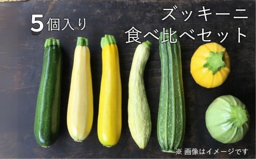 [先行予約][期間・数量限定]令和7年7月発送 自然栽培 ズッキーニ 食べ比べ セット 旬の野菜 飛騨 自然の味 珍しい形 色 自家採種 みずみずしい ソヤ畦畑 農薬不使用 肥料不使用