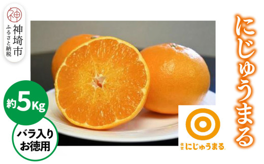 【2026年3月上旬より発送開始】にじゅうまる 約5kg バラ入りお徳用【佐賀県 みかん 柑橘 果物 くだもの フルーツ】(H116162)