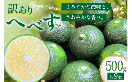 [期間限定発送] へべす 訳あり 宮崎 栽培期間中農薬不使用 露地へべす500g [かわの農園 宮崎県 日向市 452061174] 先行予約 家庭用 国産 ヘベス 訳アリ