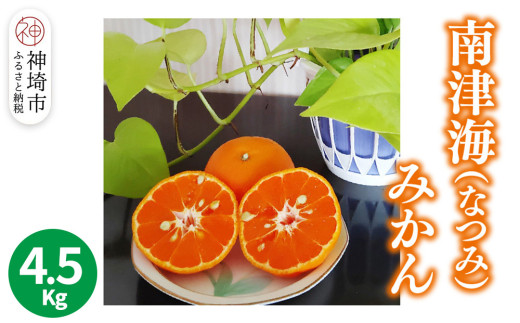 【2026年4月上旬より発送開始】南津海(なつみ)みかん 4.5kg【みかん 柑橘 オレンジ ポンカン フルーツ デザート 果汁】(H116156)