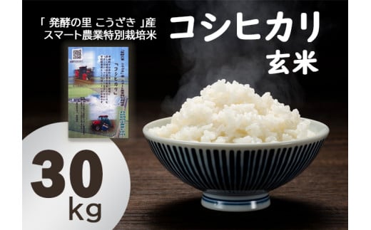 「発酵の里 こうざき」産 スマート農業特別栽培米 コシヒカリ玄米 30kg【千葉県神崎町産】[018-a003]