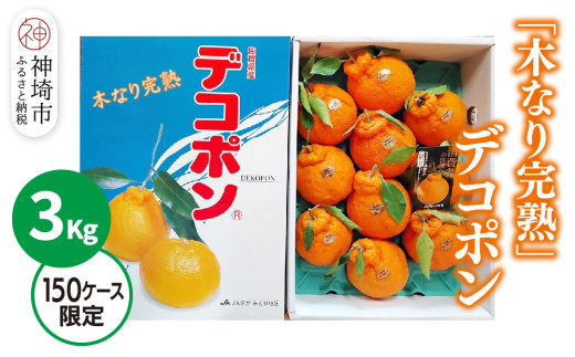 【2026年3月中旬より発送開始】【木なり完熟】デコポン 3kg 150ケース限定【みかん 柑橘 清美 ポンカン フルーツ デザート】(H116148)