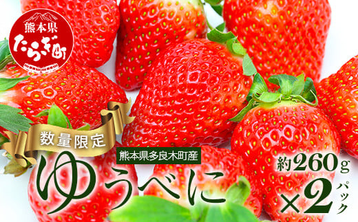【旬】熊本県産 いちご【ゆうべに】約260g×2パック 2026年1月～発送 ≪ 苺 イチゴ  数量限定 坂下農園 イチゴ 2パック 苺 フルーツ 果物 春 名産 熊本 多良木町 ビタミン 旬 先行予約 ≫103-0001