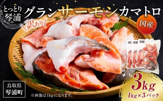 【数量限定】訳あり 国産 とっとり 琴浦 グラン サーモン カマトロ 3kg（1kg×3パック）