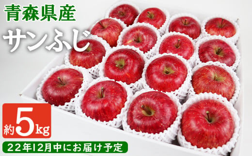 【残りわずか】12月中にお届け！青森県産サンふじ 5kg りんご 年内配送 家庭用 贈答用