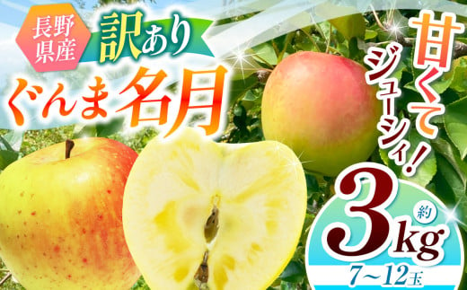 【2025年先行予約】浅野農園 訳あり ぐんま名月 3kg ｜ リンゴ りんご 林檎 果物 くだもの フルーツ 果実 果汁 訳あり ぐんま名月 長野県 松川村 信州 北アルプス 1967404 - 長野県松川村