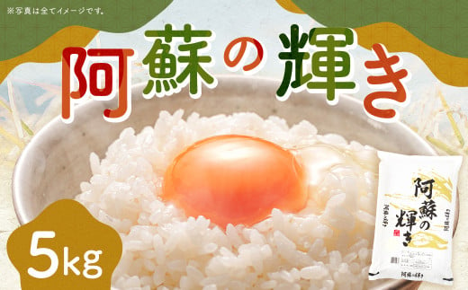 [選べる配送月] 阿蘇の輝き 5kg 精米 コメ 米 お米 ごはん 白米 熊本県産