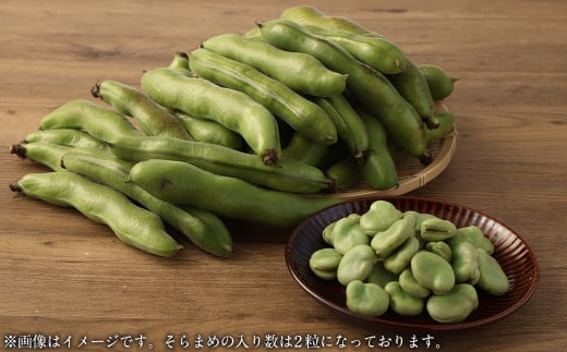 熊本県産 そらまめ 約4kg（2粒） 野菜 豆類 そら豆 【2025年4月上旬-4月下旬迄発送予定】 1967674 - 熊本県水俣市