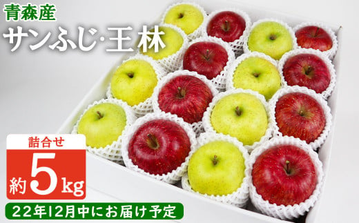 【残りわずか】12月中にお届け！青森県産 サンふじ・王林詰合せ 5kg りんご 年内配送 家庭用 贈答用