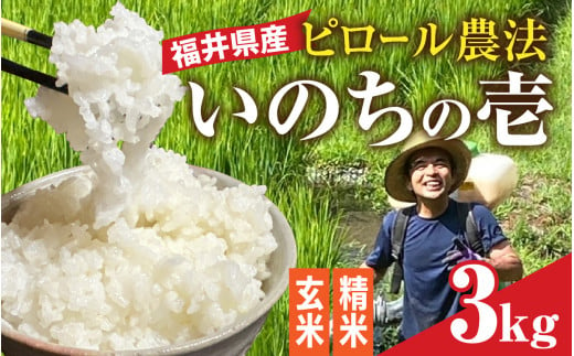 【精米】【内田農園・ピロール米】令和6年産 福井県産いのちの壱 3kg 減農薬栽培 [A-168001_02]  1722461 - 福井県福井市