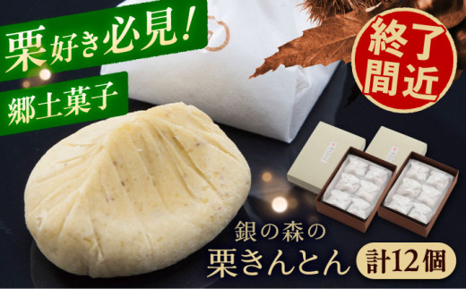 美栗舎の栗きんとん 計12個（6個×2箱）/ 栗 くり 栗きんとん くりきんとん 季節 秋 限定 栗 岐阜 セット 手土産 和菓子 スイーツ お菓子 / 恵那市 / 銀の森 [AUBG028] 1088501 - 岐阜県恵那市