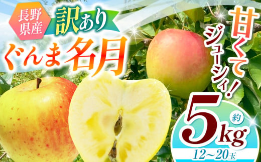 【2025年先行予約】浅野農園 訳あり ぐんま名月 5kg ｜ リンゴ りんご 林檎 果物 くだもの フルーツ 果実 果汁 訳あり ぐんま名月 長野県 松川村 信州 北アルプス 1967411 - 長野県松川村