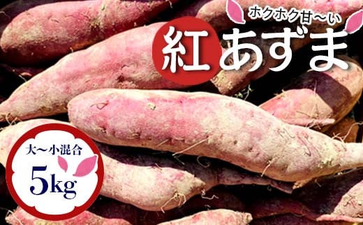 栽培期間中、農薬・化学肥料不使用 ホクホク『紅あずま』サイズ 大～小混合 5kg さつまいも サツマイモ 山形県 新庄市 F3S-2352