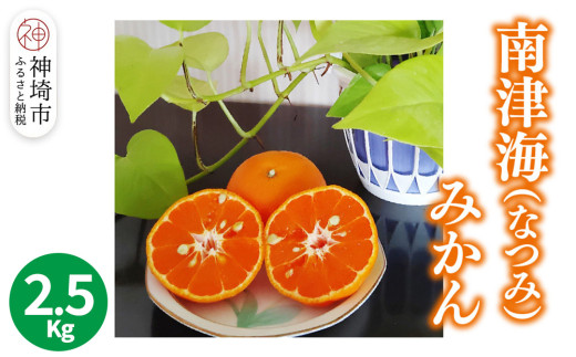 【2026年4月上旬より発送開始】南津海(なつみ)みかん 2.5kg【みかん 柑橘 オレンジ ポンカン フルーツ デザート 果汁】(H116155)