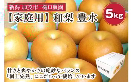 【2025年】【家庭用】和梨 豊水 5kg（9～14玉）《順次発送》果物 なし ほうすい 梨 フルーツ 新鮮 ジューシー 産地 加茂市 樋口農園