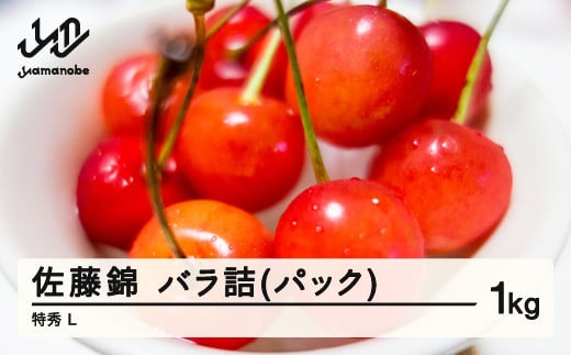 《先行予約》2025年 山形県産 さくらんぼ 佐藤錦 バラ詰(パック) 1kg 特秀 L  2025年6月10日頃から順次発送 F21A-233