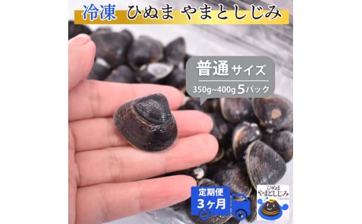 【3ヶ月定期便】冷凍やまとしじみ（普通）5パック（1パック350g～400g）×3回