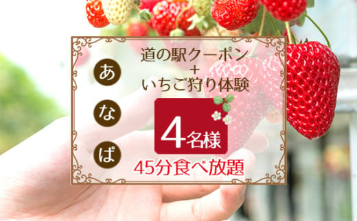 No.255 「あ・な・ば」かなんでいちご狩り体験　ファミリー券と道の駅クーポンセット ／ チケット 苺 イチゴ狩り 食べ放題 大阪府 405823 - 大阪府河南町