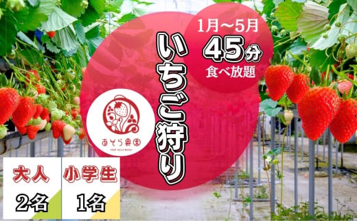 いちご狩り 45分 いちご 食べ放題 体験 合計3名 大人(13歳～64歳) 2名、小学生1名 チケット イチゴ 苺 体験 宮城県 東松島市 オンラインワンストップ 申請 対応 自治体マイページ【B】