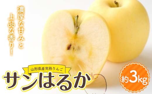 山形県産 厳選完熟りんご 『サンはるか』（無袋栽培） 秀品 約3kg化粧箱（7～12玉入り）《先行受付2025年度12月発送》 FSY-2184