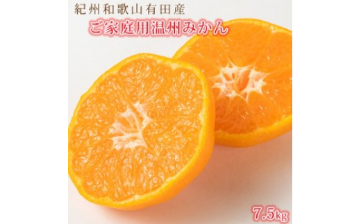 【ご家庭用訳あり】紀州和歌山有田産温州みかん7.5kg◇ ※2025年11月下旬〜2026年1月下旬頃に順次発送予定 ふるさと納税 ミカン