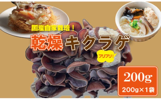  国産 自家製 乾燥 きくらげ （200g）ジョブクリエイト 肉厚 プリプリ キクラゲ 中華料理 ラーメン スープ アクセントに！