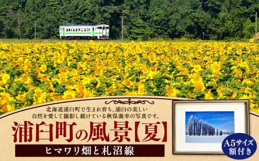 浦臼町の風景（A５サイズ）額付き 夏 1371527 - 北海道浦臼町 |