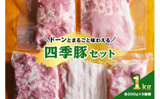 四季豚 ドーンとまるごと味わえる1kgセット 1154062 - 茨城県笠間市