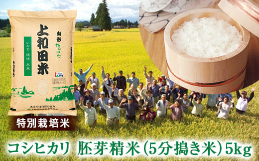 ≪2025年先行予約≫令和7年度産 山形県 高畠町産 特別栽培米 コシヒカリ 胚芽精米（5分搗き米）5kg お米 白米 ブランド米 ごはん ご飯 F21B-410