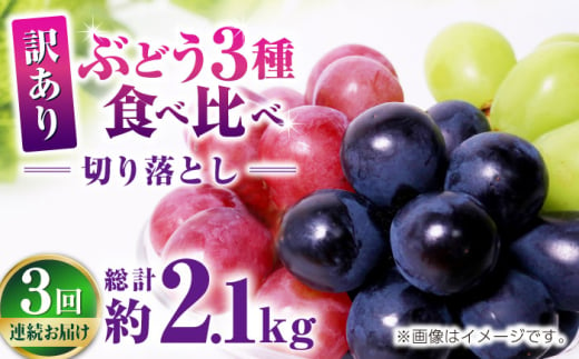 【先行予約】 【3回定期便】 訳あり 毎月違うぶどうをお届け！ ぶどう3種 食べ比べ 切り落とし 約700g 【合同会社 社方園】 [ZBZ048]