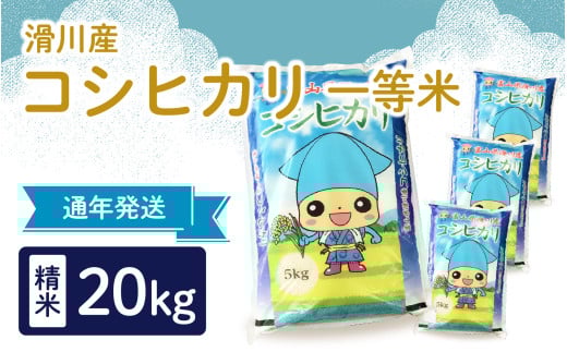 【先行予約】【新米】滑川産コシヒカリ（精米20kg）25年10月以降順次配送予定
