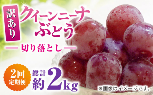 【先行予約】　【2回定期便】　訳あり クイーンニーナ ぶどう 切り落とし 約1kg  【合同会社 社方園】 [ZBZ045]