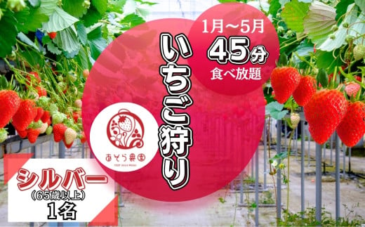 いちご狩り 45分 いちご 食べ放題 体験  シルバー(65歳以上) 1名  チケット イチゴ 苺 体験 宮城県 東松島市 オンラインワンストップ 申請 対応 自治体マイページ【D】