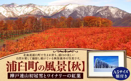 浦臼町の風景（A５サイズ）額付き 秋 1371528 - 北海道浦臼町 |