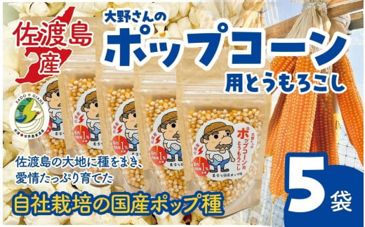 佐渡島産 大野さんのポップコーン用とうもろこし（180g×5袋入） 1969149 - 新潟県佐渡市