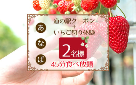 No.253 「あ・な・ば」かなんでいちご狩り体験　ペア券と道の駅クーポンセット ／ チケット 苺 イチゴ狩り 食べ放題 大阪府 405821 - 大阪府河南町