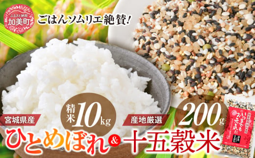  精米 令和6年産 宮城県産ひとめぼれ 10kg ＋ 十五穀米200gセット  [菅原商店 宮城県 加美町 ]  | sg00001-r601-10kgset