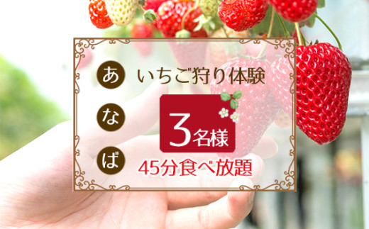 No.251 「あ・な・ば」かなんでいちご狩り体験　トリオ券 ／ チケット 苺 イチゴ狩り 食べ放題 大阪府 405819 - 大阪府河南町