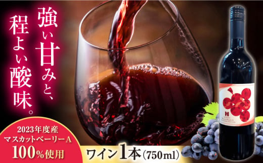 長浜産マスカットベーリーA(赤)2023年度産　滋賀県長浜市/Wine＆CidreNAGAHAMA [AQBJ005]