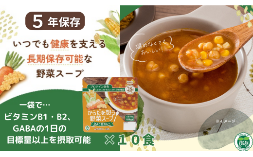 【からだを想う野菜スープ】ひよこ豆カレー10食セット/レトルト/食物アレルギー対応/長期保存/防災食【1_2-075】