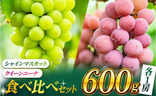 【先行予約】【数量限定】食べ比べセット 約600g（シャインマスカット ＆ クイーンニーナ 各一房）【合同会社 社方園】 [ZBZ036]