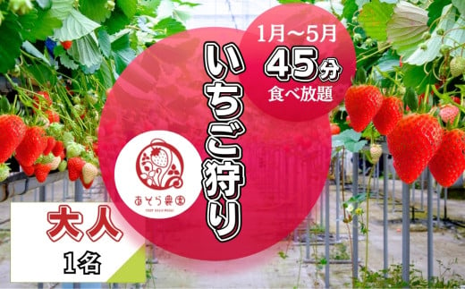 いちご狩り 45分 いちご 食べ放題 体験  大人(13歳～64歳) 1名  チケット イチゴ 苺 体験 宮城県 東松島市 オンラインワンストップ 申請 対応 自治体マイページ【C】