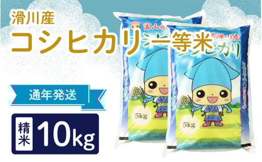 【先行予約】【新米】滑川産コシヒカリ（精米10kg）25年10月以降順次配送予定