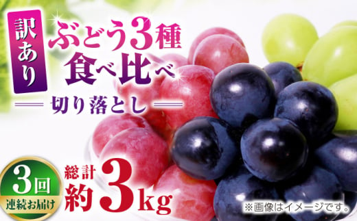 【先行予約】 【3回定期便】 訳あり 毎月違うぶどうをお届け！ ぶどう3種 食べ比べ 切り落とし 約1kg  【合同会社 社方園】 [ZBZ049]