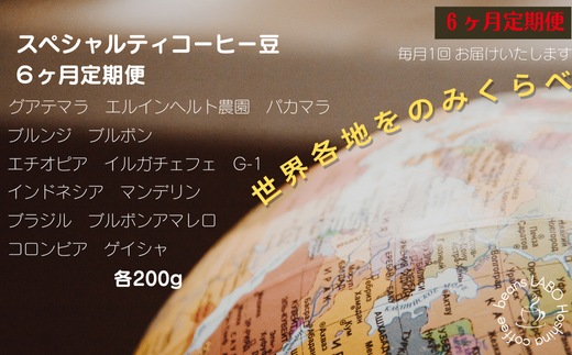 [定期便6ヶ月]世界各地をのみくらべ スペシャルティコーヒー豆 定期便 豆