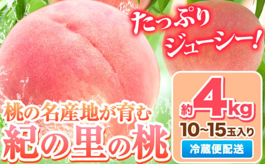 桃 和歌山県産 紀の里の桃 約4kg (10～15玉入り)《2025年6月中旬-8月中旬頃出荷》 2025年 先行予約 紀の里の桃 送料無料 白鳳 日川白鳳 なつっこ 清水白桃 川中島白桃 八旗白桃 ギフト 果物 くだもの フルーツ お取り寄せ 和歌山 わかやま もも momo