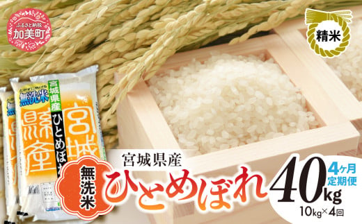 【 4回 定期便 】無洗米 令和6年度産 宮城 ひとめぼれ 計 40kg （ 10kg × 4回） ｜ 菅原精米工業 宮城県 加美町 sw00004-r601-10kg-4 ｜ ヒトメボレ 米 コメ ごはん お米