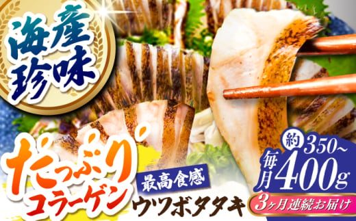 [3回定期便]高知県産 ウツボのタタキ 約350g~400g 総計約1.05kg〜1.2kg [株式会社 四国健商] [ATAF140] うつぼ 高知名物 珍味 コラーゲン 高タンパク