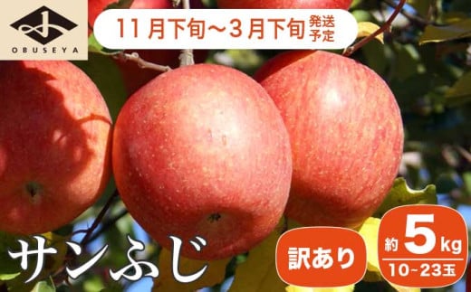 【訳あり】 サンふじ 約5kg 10～23玉 ［小布施屋］ りんご 林檎 リンゴ 不揃い 規格外 果物 フルーツ 生産者応援 支援 家庭用 長野県産 信州産 小布施町 令和7年産 【2025年11月下旬～2026年3月下旬発送】 ［A-12］ 217307 - 長野県小布施町