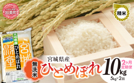 【 2回 定期便 】無洗米 令和6年度産 宮城 ひとめぼれ 計 10kg （ 5kg × 2回 ）｜ 菅原精米工業 宮城県 加美町 sw00003-r601-5kg-2 ｜ ヒトメボレ 米 コメ ごはん お米